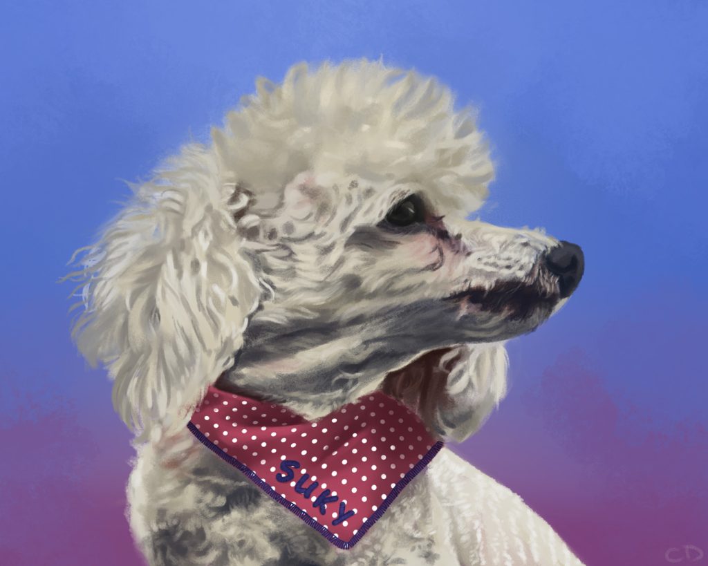 Suky - Pet Portrait Commission